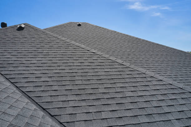 Best Metal Roofing Installation  in Lewes, DE